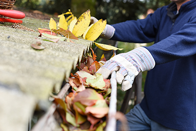 Gutter Cleaning in Manalapan, gutter filled with leaves shown being cleaned out by a gloved hand