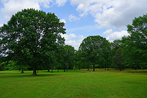 View of Battlefield State Park near homes for sale in Manalapan NJ